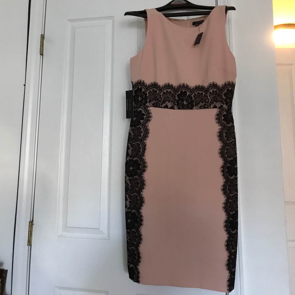 Brand new "The Limited" wedding guest dress