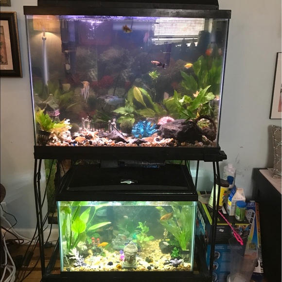 Meet your Posher, Lara - Picture 2 of 4