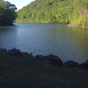 Meet your Posher, Marlene