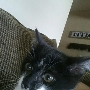 Meet your Posher, Wendi