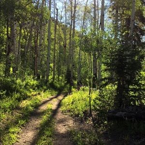 Meet your Posher, Eli