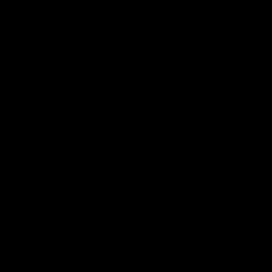 Meet your Posher, Mia