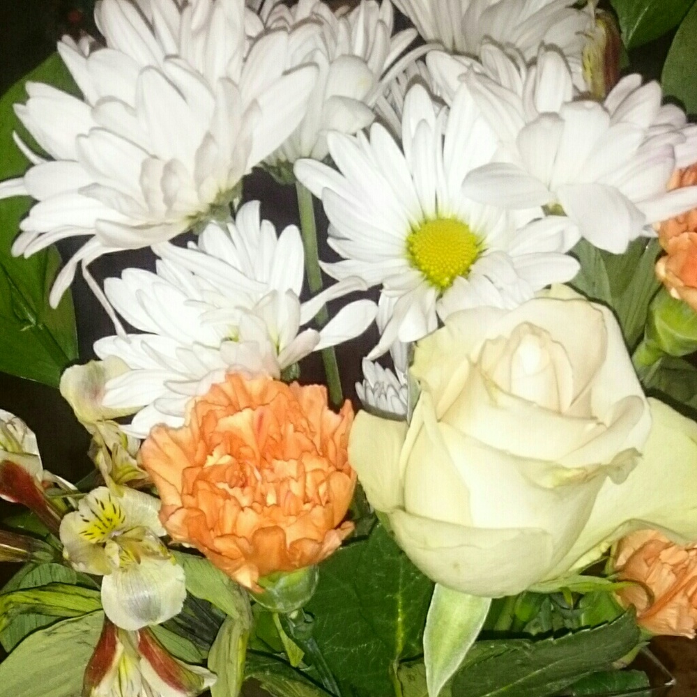 Meet your Posher, Lana