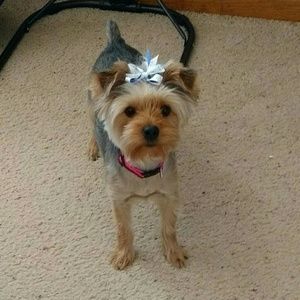 Meet your Posher, Angie