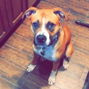 Meet your Posher, Shae