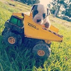 Meet your Posher, Samantha