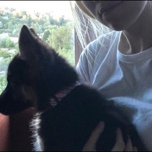 Meet your Posher, Christina