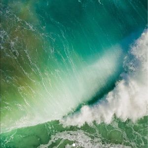 Meet your Posher, Bradley