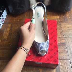 Guess pump