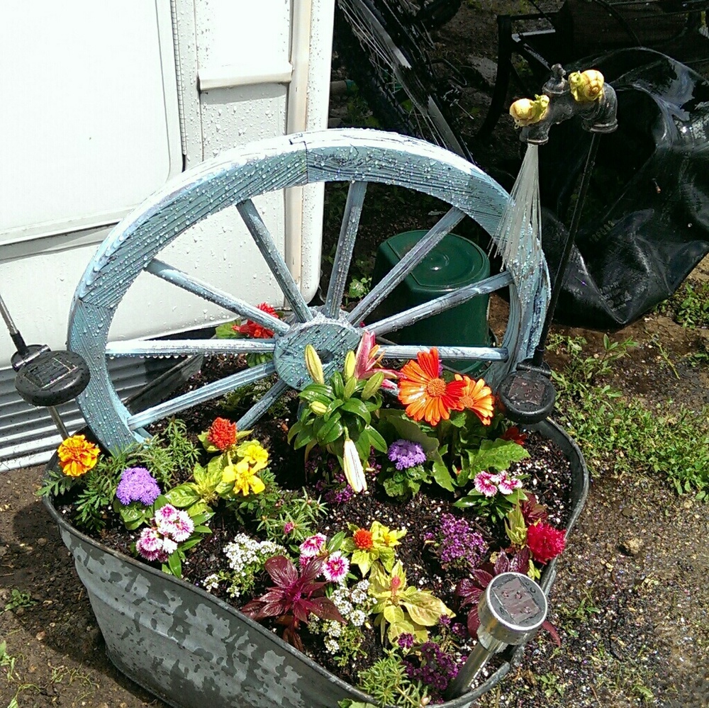 Meet your Posher, Crystal