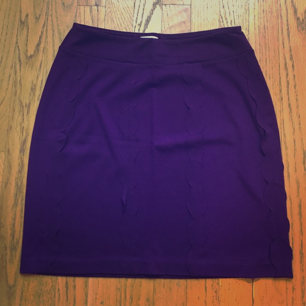 🎊ON SALE🎊Anthropologie Ric Rac Plum miniskirt