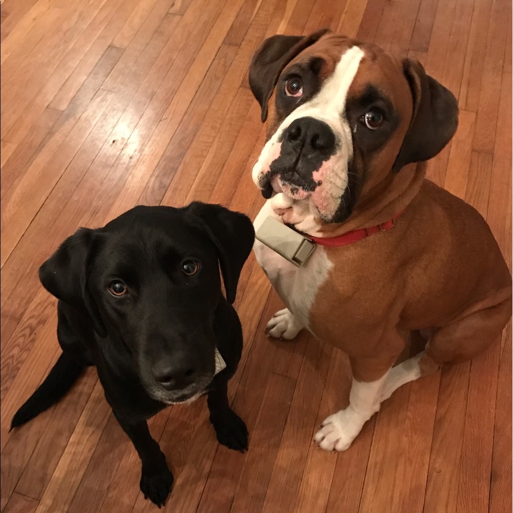 Meet your Posher, Regan