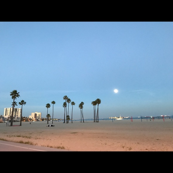 Meet your Posher, Ashley - Picture 8 of 8