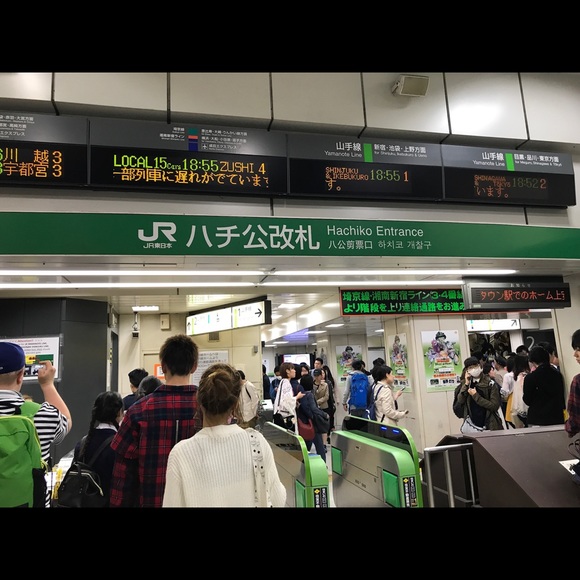 Meet your Posher, Ashley - Picture 2 of 8