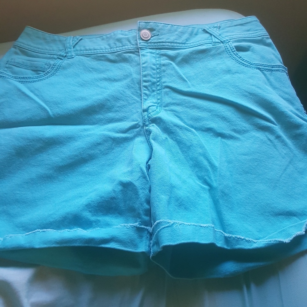 Lane Bryant shorts