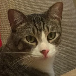 Meet your Posher, Efrain