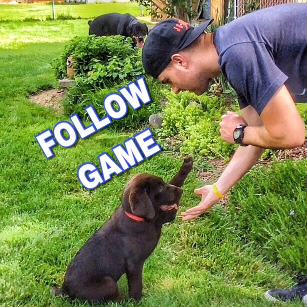 High 5 To The Follow Game. Like, Follow, Share!