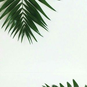 Meet your Posher, Kaylee