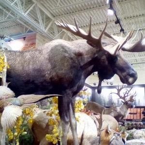 Meet your Posher, Dalton