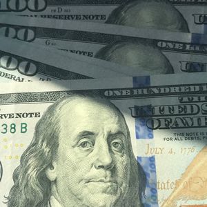 Meet your Posher, Toni