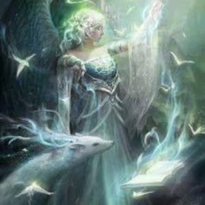 Meet your Posher, Roberta