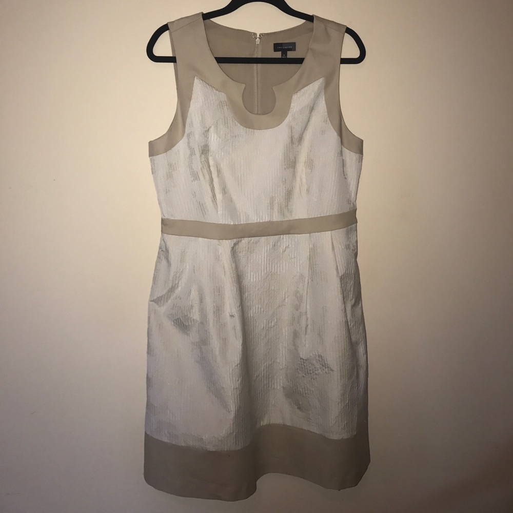 Evening Dress By The Limited