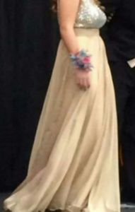 A nude dress with sequin and mesh top