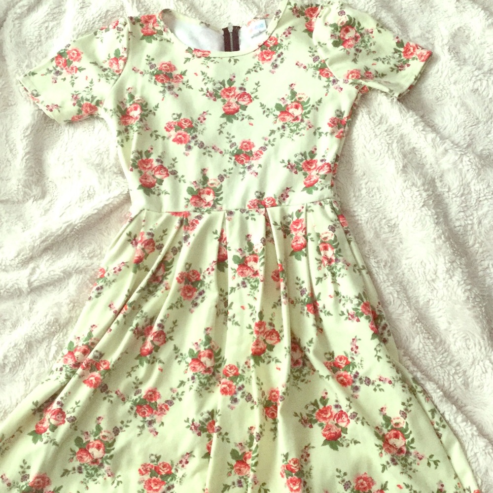 Lularoe Amelia dress