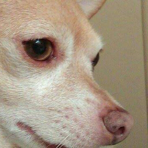 Meet your Posher, Jennifer - Picture 1 of 1