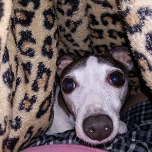 Meet your Posher, Delinda