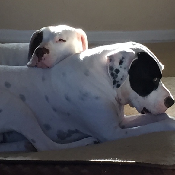 Make me an offer or bundle your likes - Picture 6 of 14