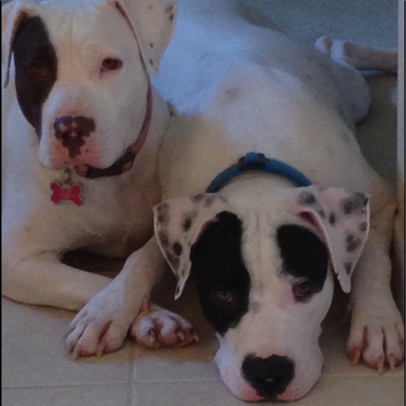 Make me an offer or bundle your likes - Picture 7 of 14