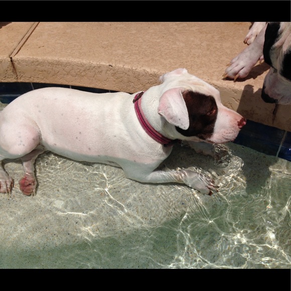 Make me an offer or bundle your likes - Picture 8 of 14