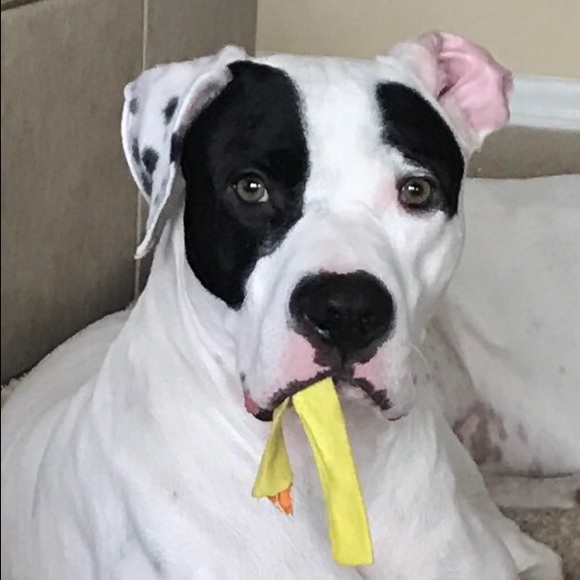 Make me an offer or bundle your likes - Picture 4 of 14