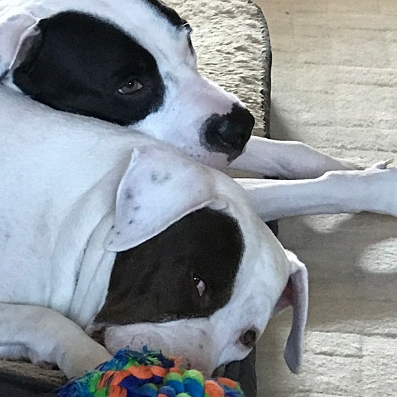 Make me an offer or bundle your likes - Picture 5 of 14