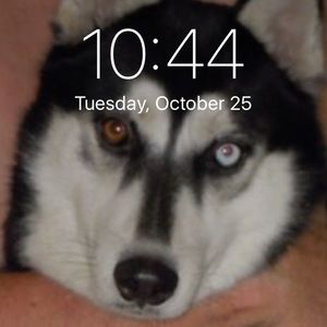 Meet your Posher, Abel