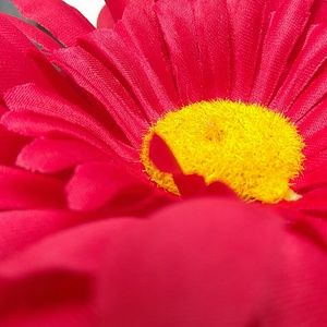 Meet your Posher, Cathy