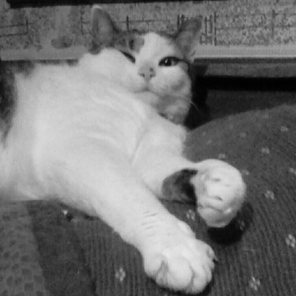 Meet me, the Queen B!