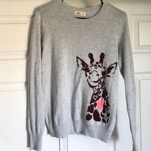 Hollister giraffe print Cardigan
