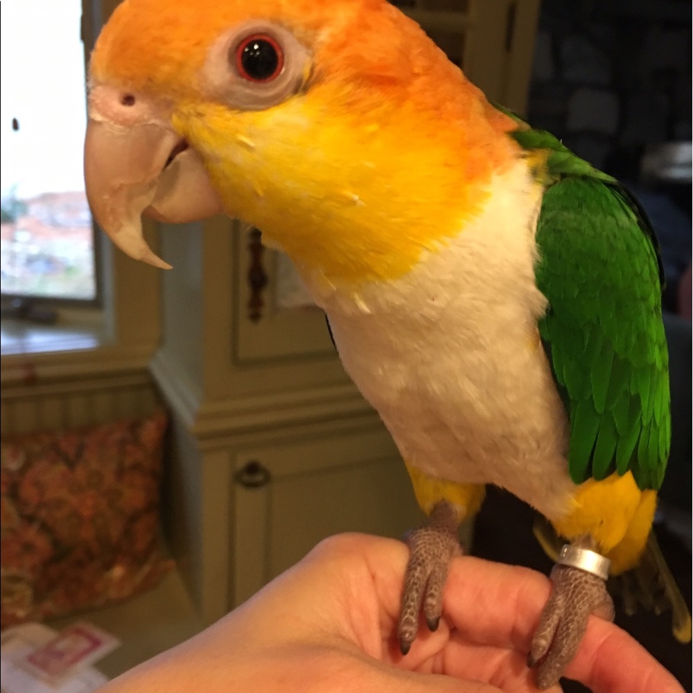 Meet your Posher, Fran