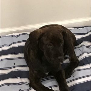 Meet your Posher, Raymond