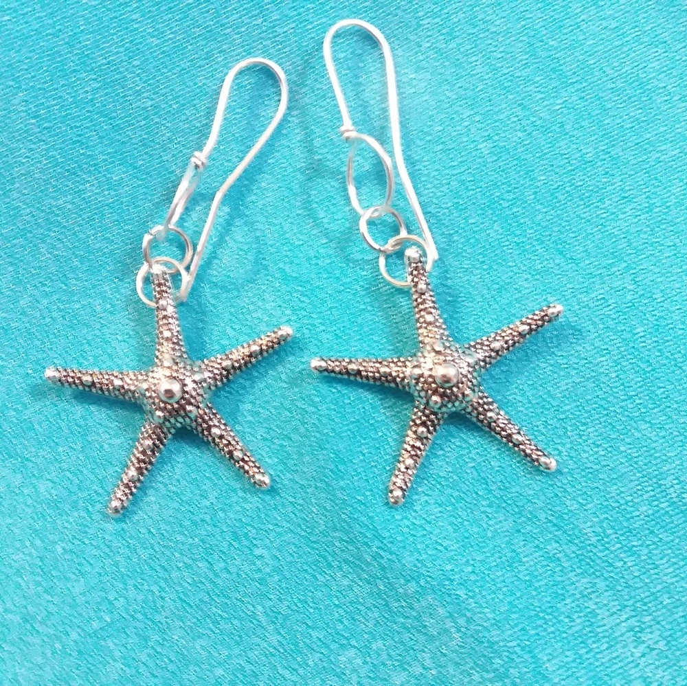 Silver Dangle Earrings