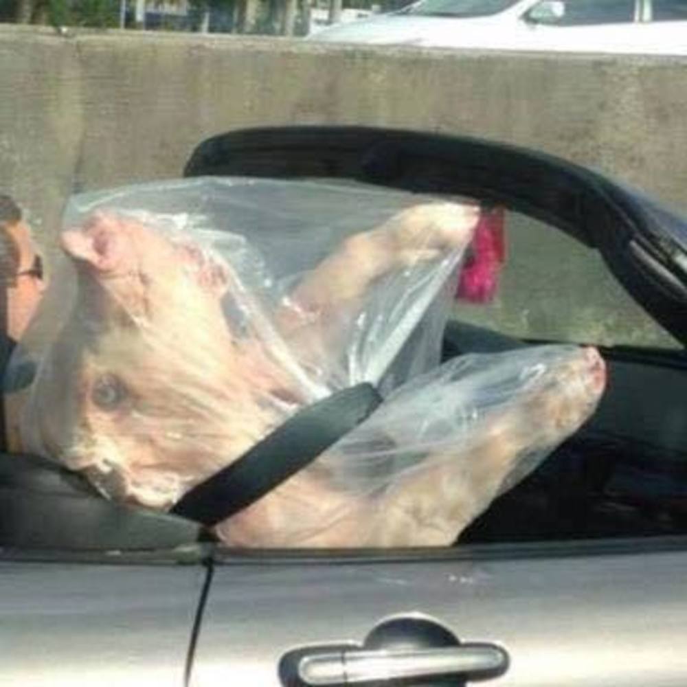 Meet your Posher, Stephen