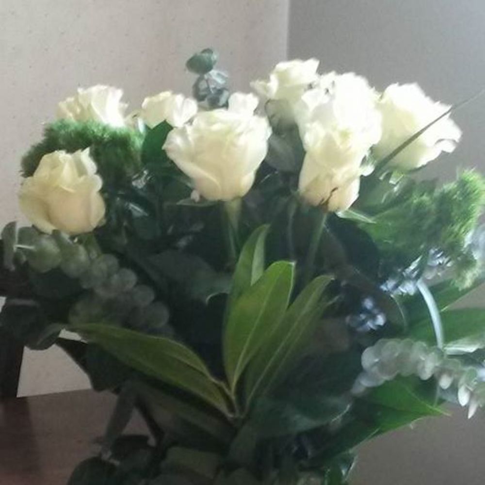 Meet your Posher, Mia