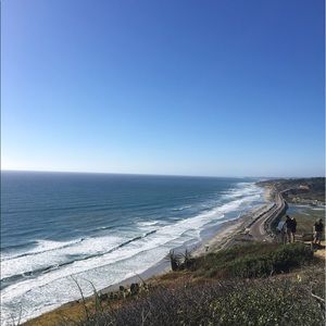 Meet your Posher, Shelby