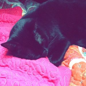 Meet your Posher, Chloe