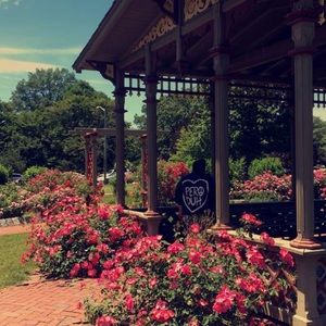 Meet your Posher, Avery