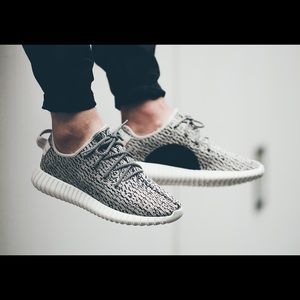 Adidas Yeezy Boost 350 in Turtledove