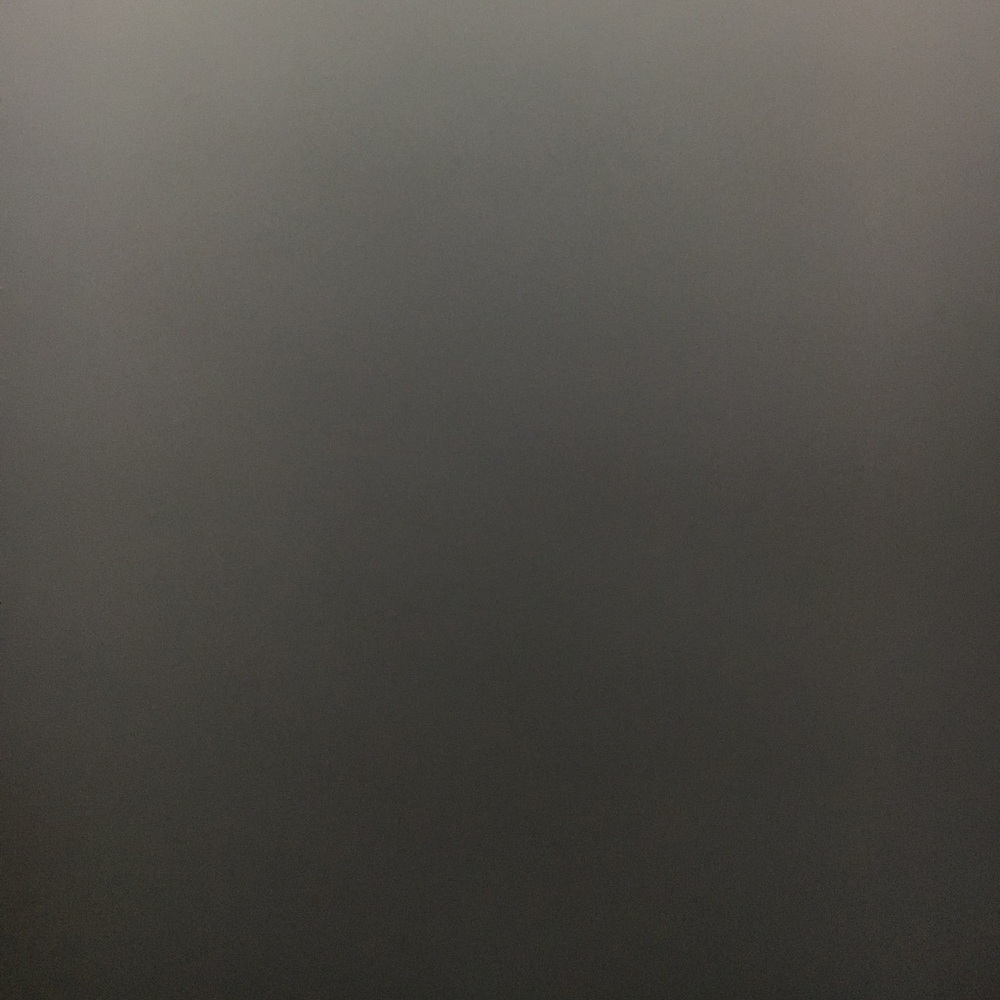 Meet your Posher, Hayley