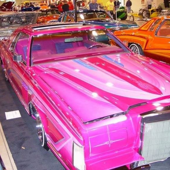 Meet your Posher, Dustin - Picture 1 of 1